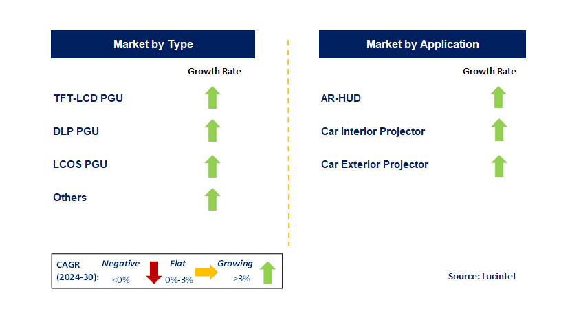 Vehicle PGU Display Module by Segment